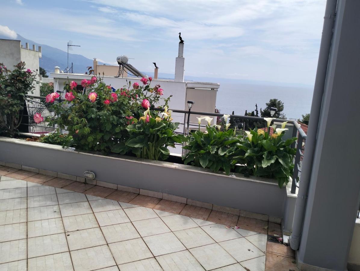 Niki House Volos